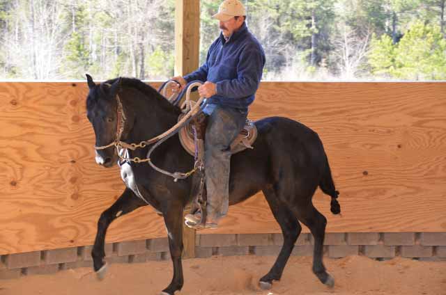 Johnny-in-roundpen-1w.jpg